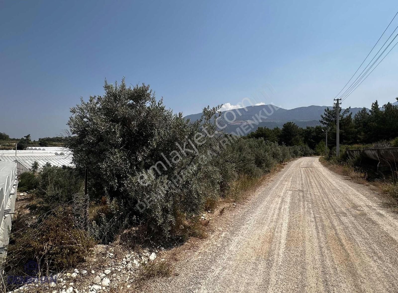 Kaş, Çavdırda Tek Tapu Parseller - Görsel 8