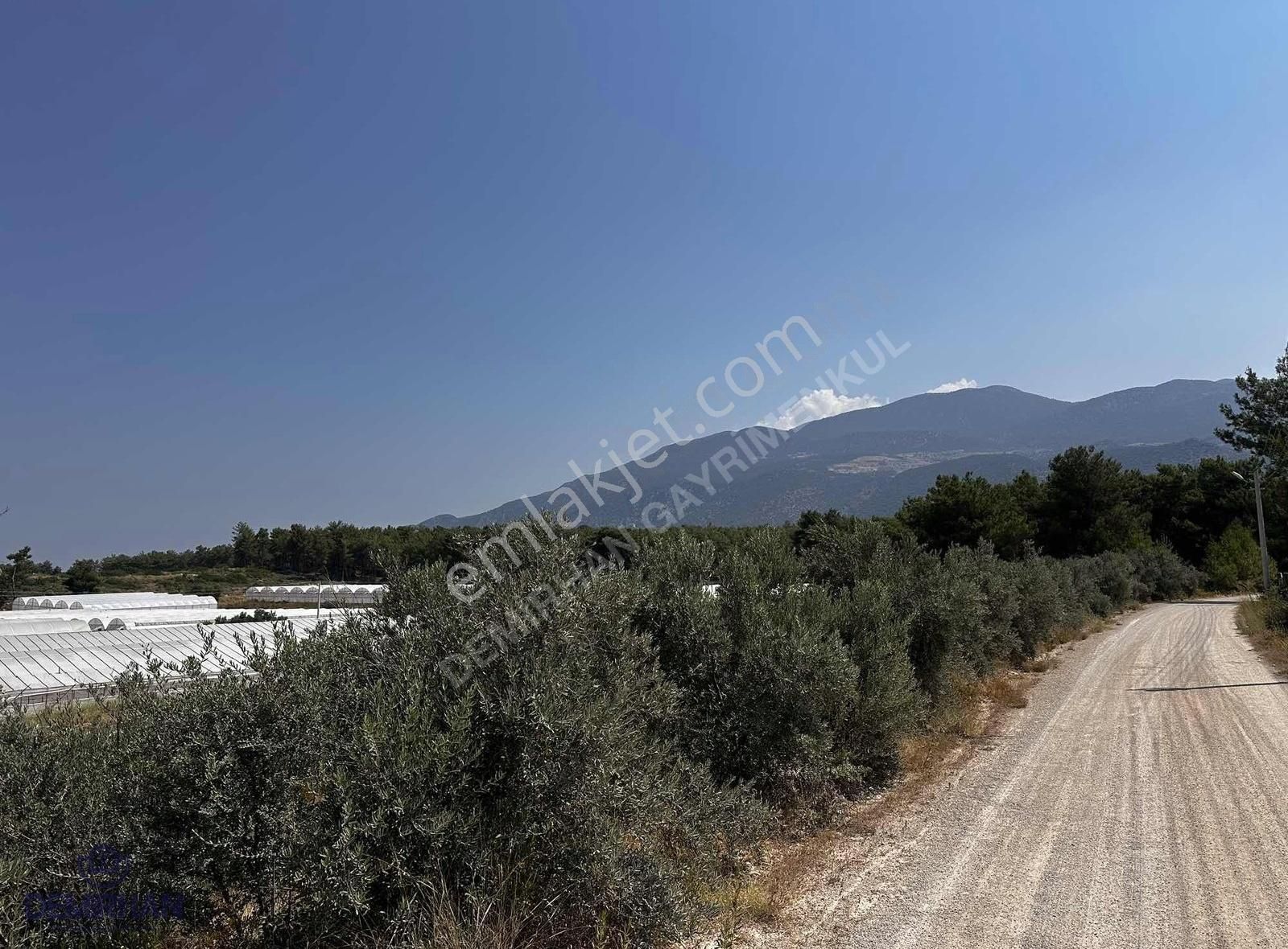 Kaş, Çavdırda Tek Tapu Parseller - Görsel 2