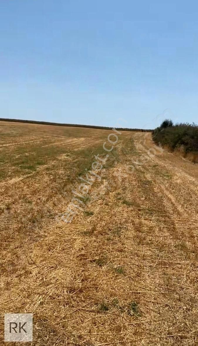 Babaeski Yeniköy De 8250 M2 31 Metre Yola Cepheli Satılık Tarla