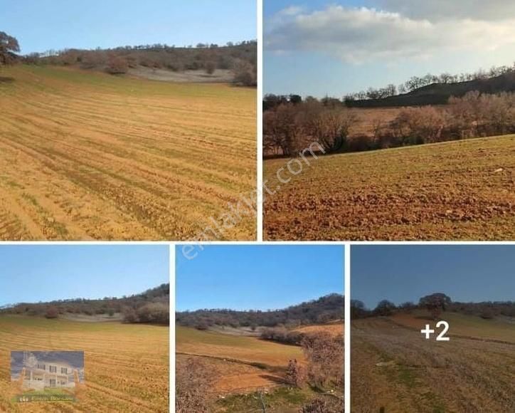 Uşak Eşme Yeleğen Kasabasında 26240m2 Satılık Arazi - Görsel 2
