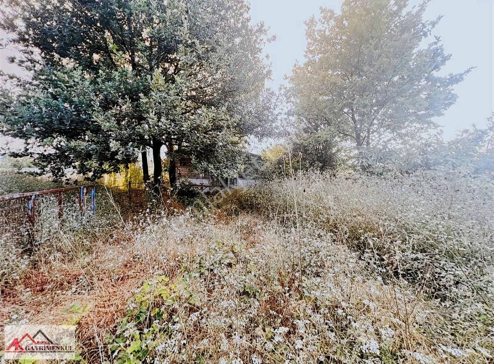 Asfalt Yol Üzerinde Ve İçerisinde Ev Olan Yerimiz Satılıktır