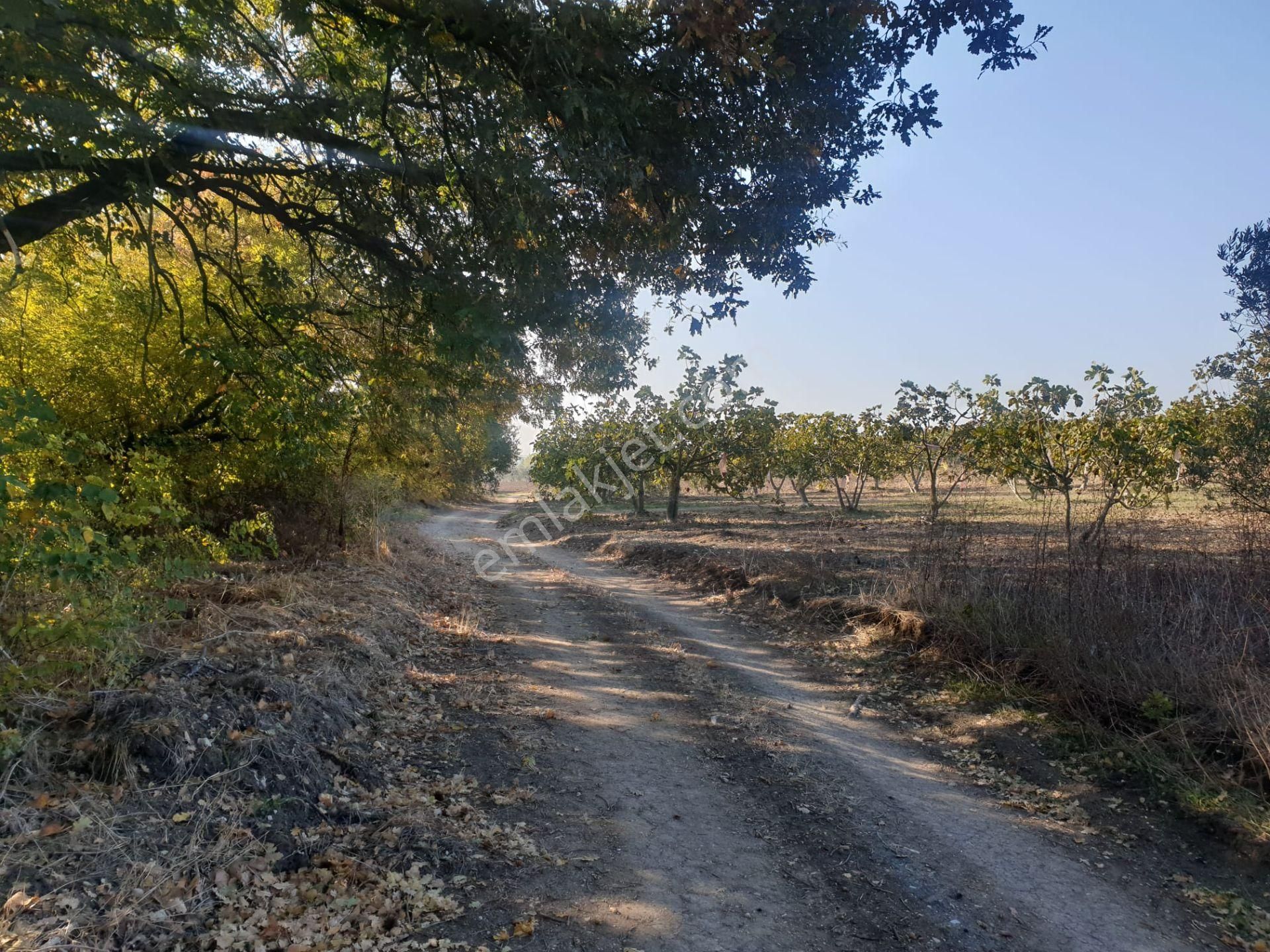 Bursa Mudanya Ülküköyde Satılık Tarla - Görsel 7
