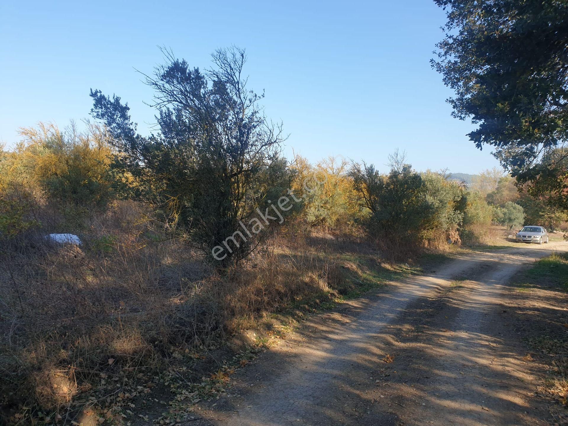Bursa Mudanya Ülküköyde Satılık Tarla - Görsel 12