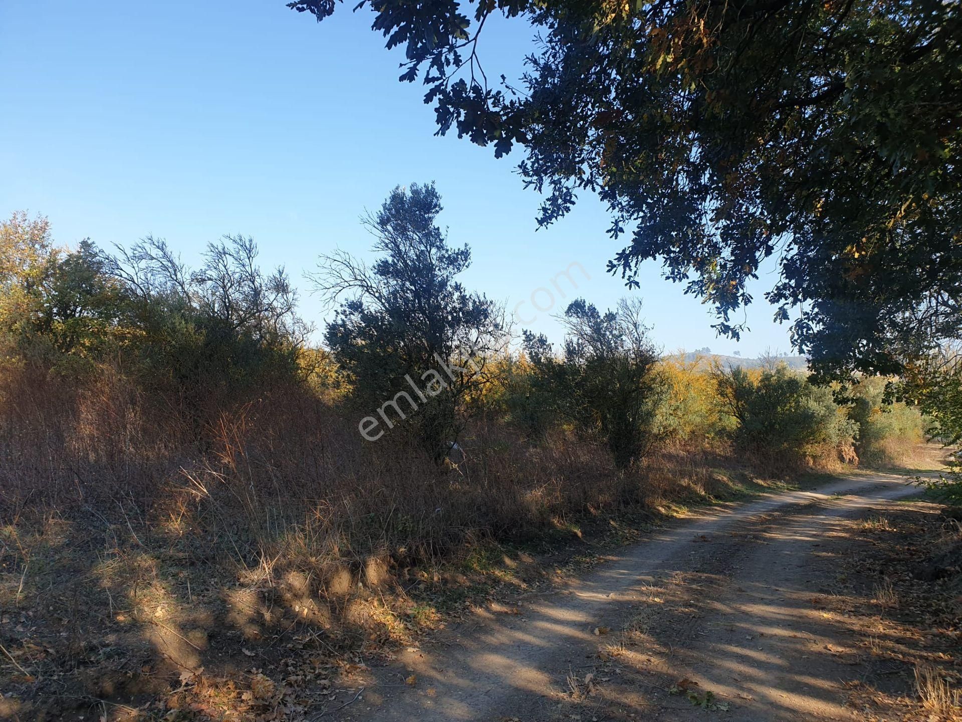 Bursa Mudanya Ülküköyde Satılık Tarla - Görsel 8