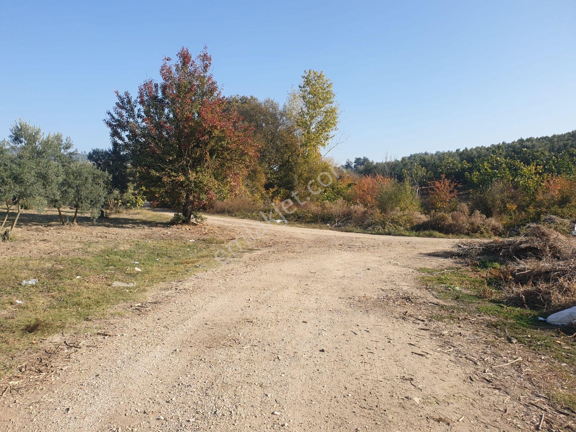 Bursa Mudanya Ülküköyde Satılık Tarla - Görsel 10