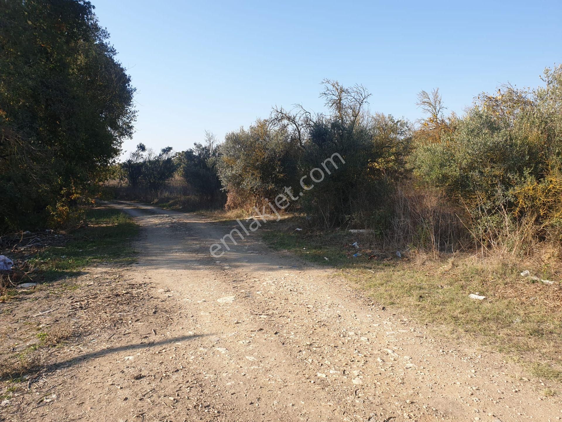 Bursa Mudanya Ülküköyde Satılık Tarla - Görsel 17