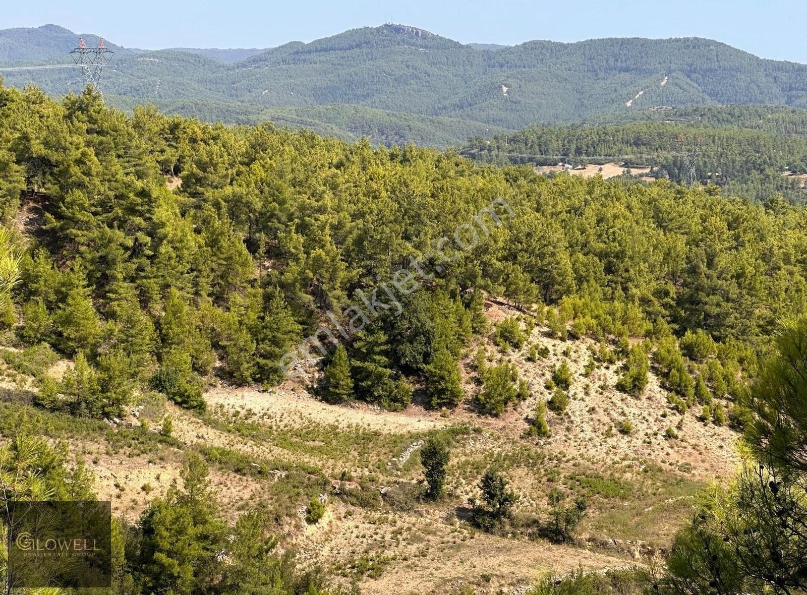 Antalya Manavgat Hocalı 43.144 M² Satılık Tarım Arazisi