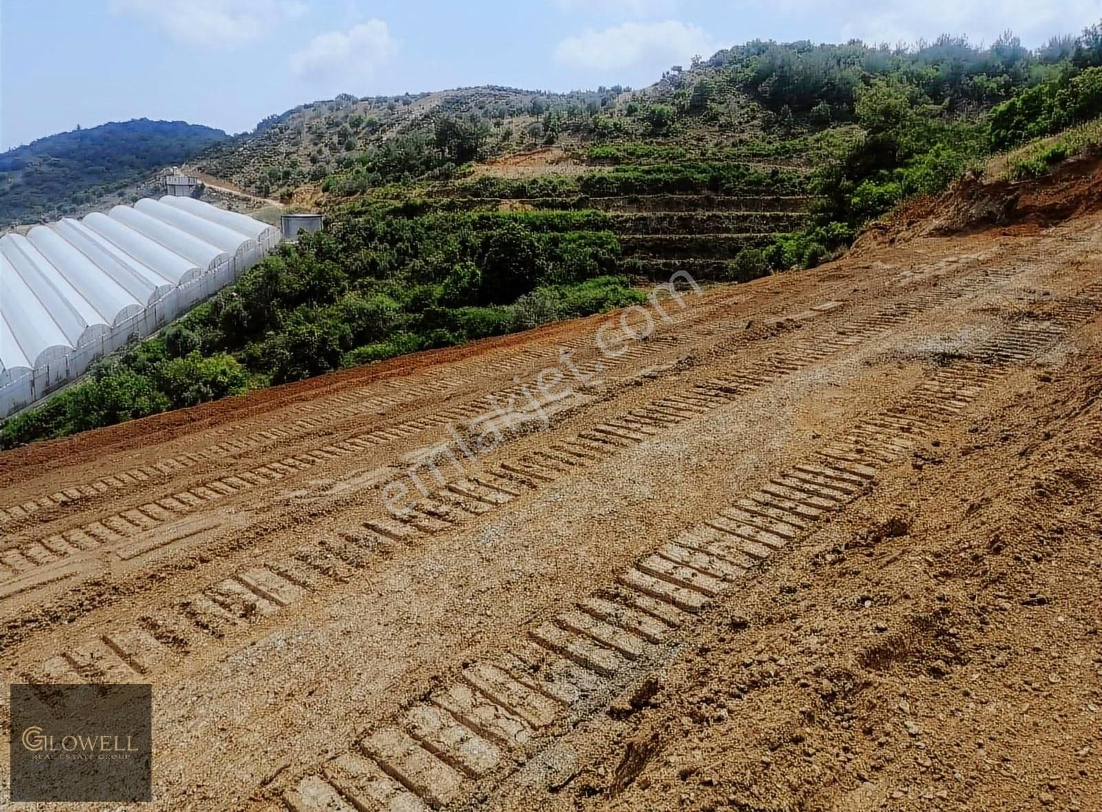 Antalya Alanya Toslak 9326 M2 Satılık Tarım Arazisi - Görsel 5