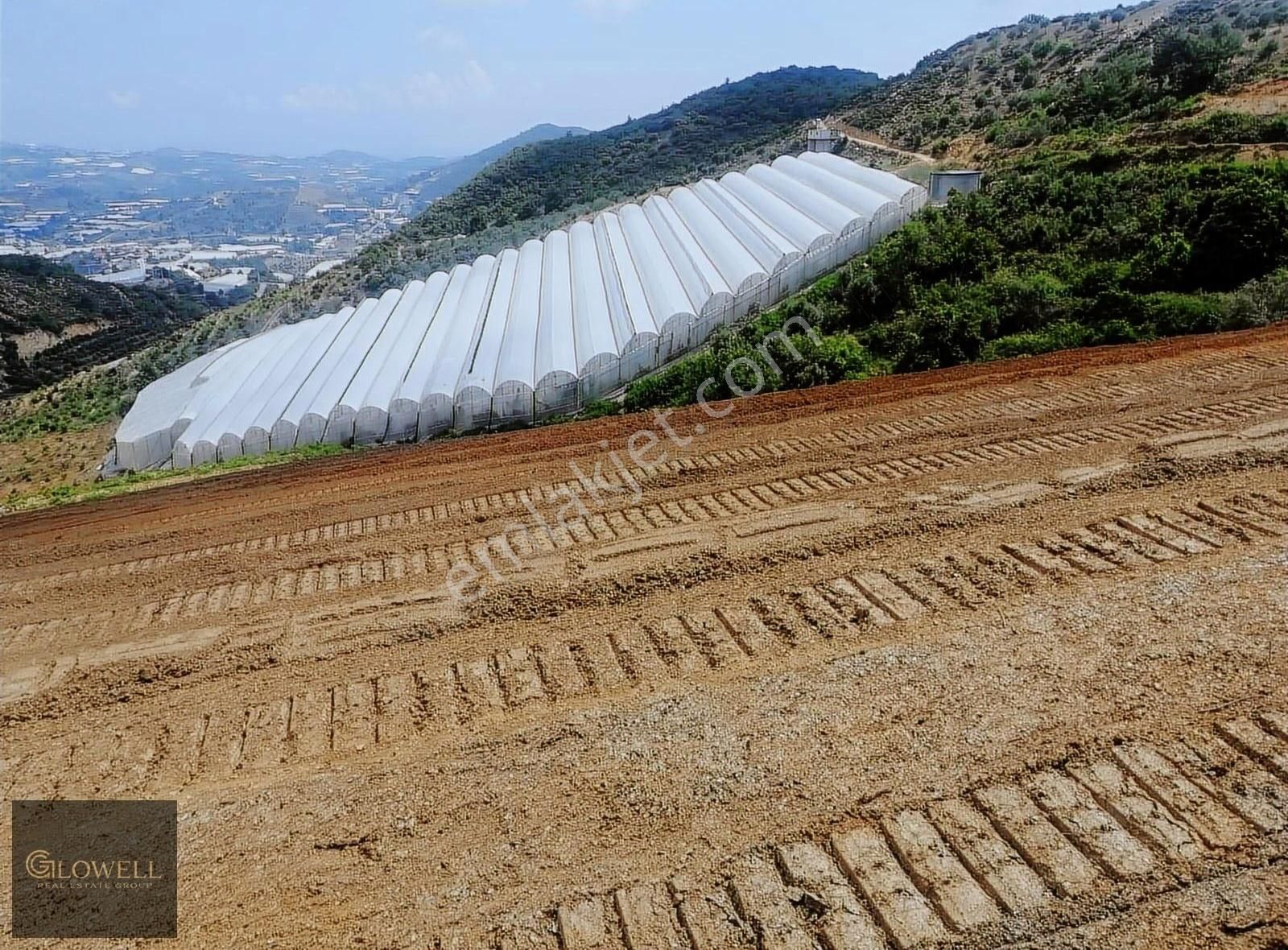 Antalya Alanya Toslak 9326 M2 Satılık Tarım Arazisi - Görsel 3