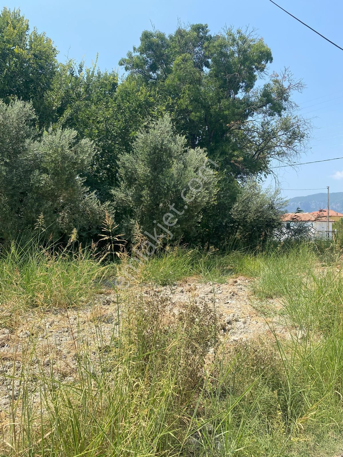 Eray Emlaktan Ortaca Akıncıda 1225m2 Tek Tapu Satılık Tarla - Görsel 4
