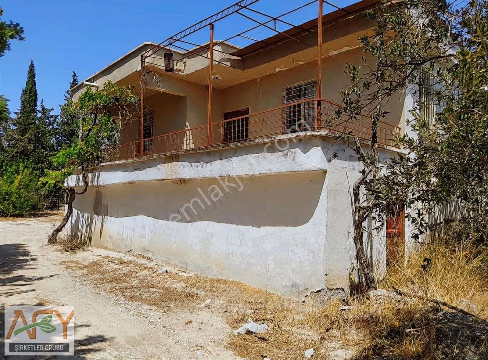 Afy'den Yapıntı'da Yola Yakın Evi Suyu Elektriği Olan Zeytinlik - Görsel 3