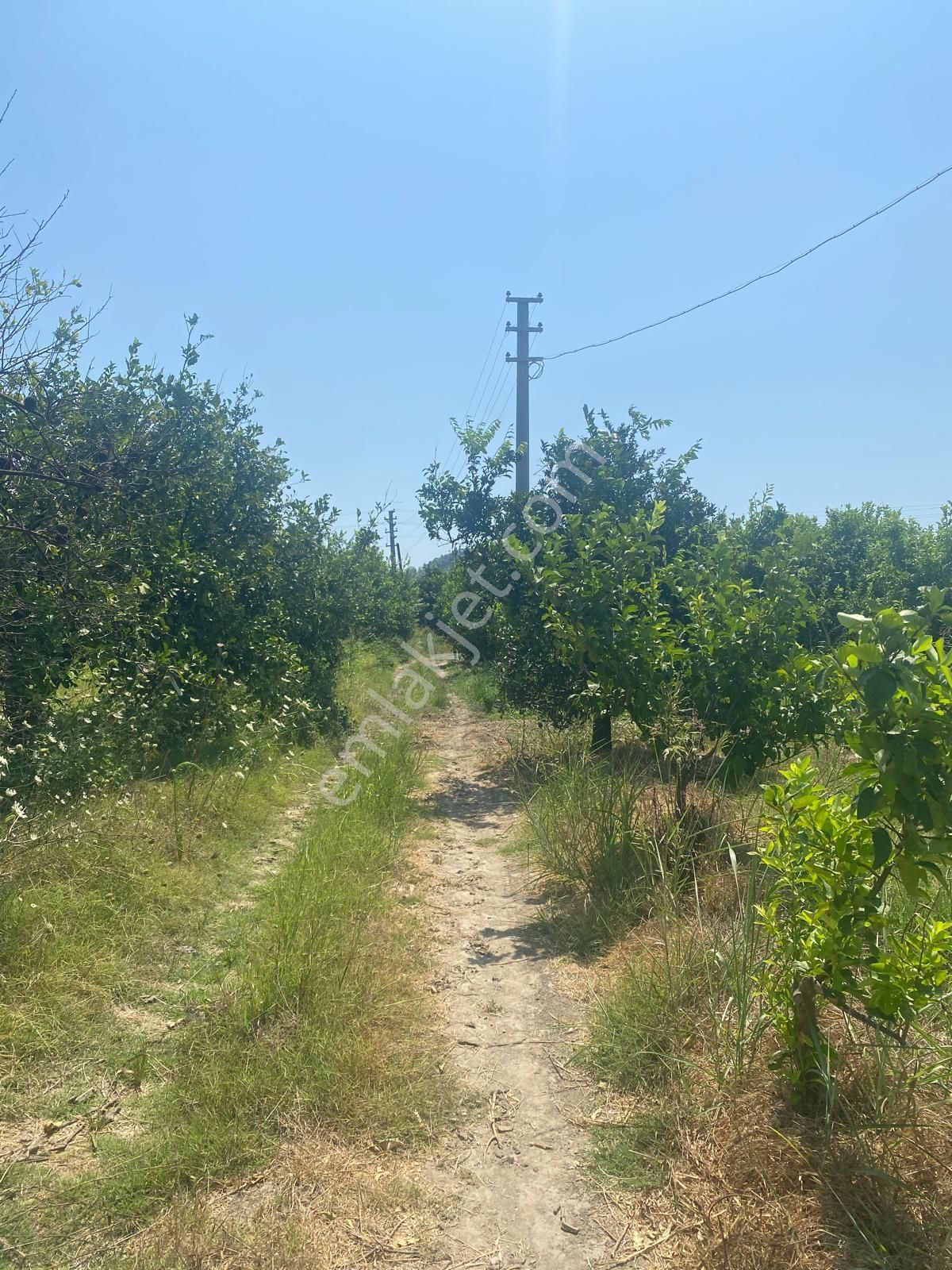 Eray Emlaktan Ortaca Yerbeleninde 1340m2 Satılık Tarla - Görsel 6