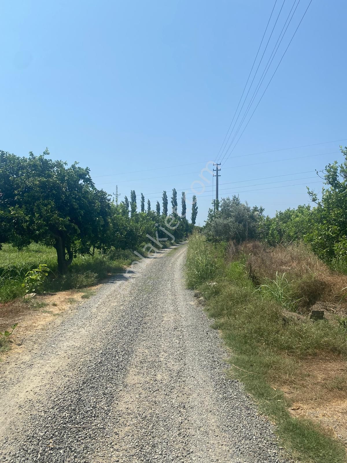 Eray Emlaktan Ortaca Yerbeleninde 1340m2 Satılık Tarla - Görsel 10