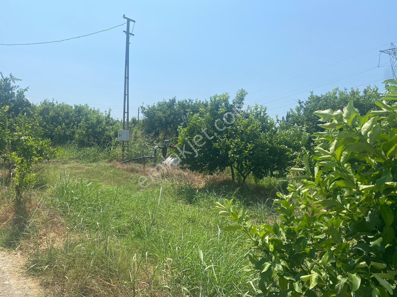 Eray Emlaktan Ortaca Yerbeleninde 1340m2 Satılık Tarla - Görsel 4