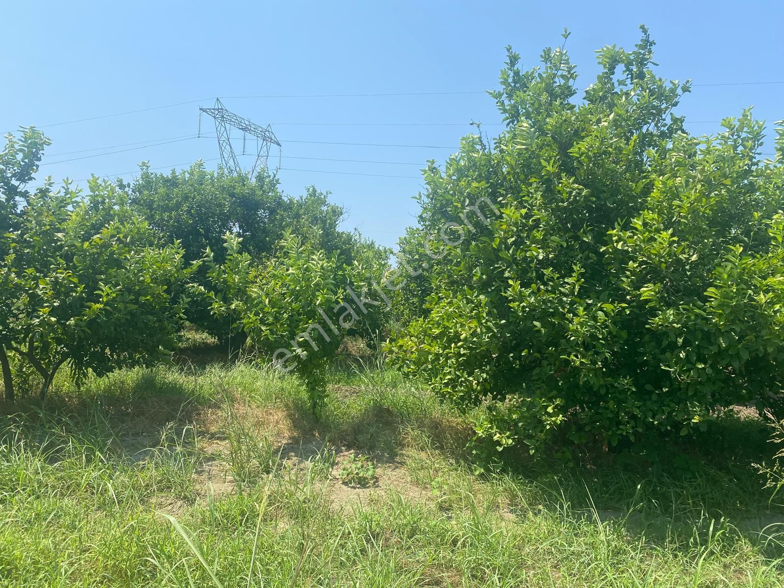 Eray Emlaktan Ortaca Yerbeleninde 1340m2 Satılık Tarla - Görsel 5
