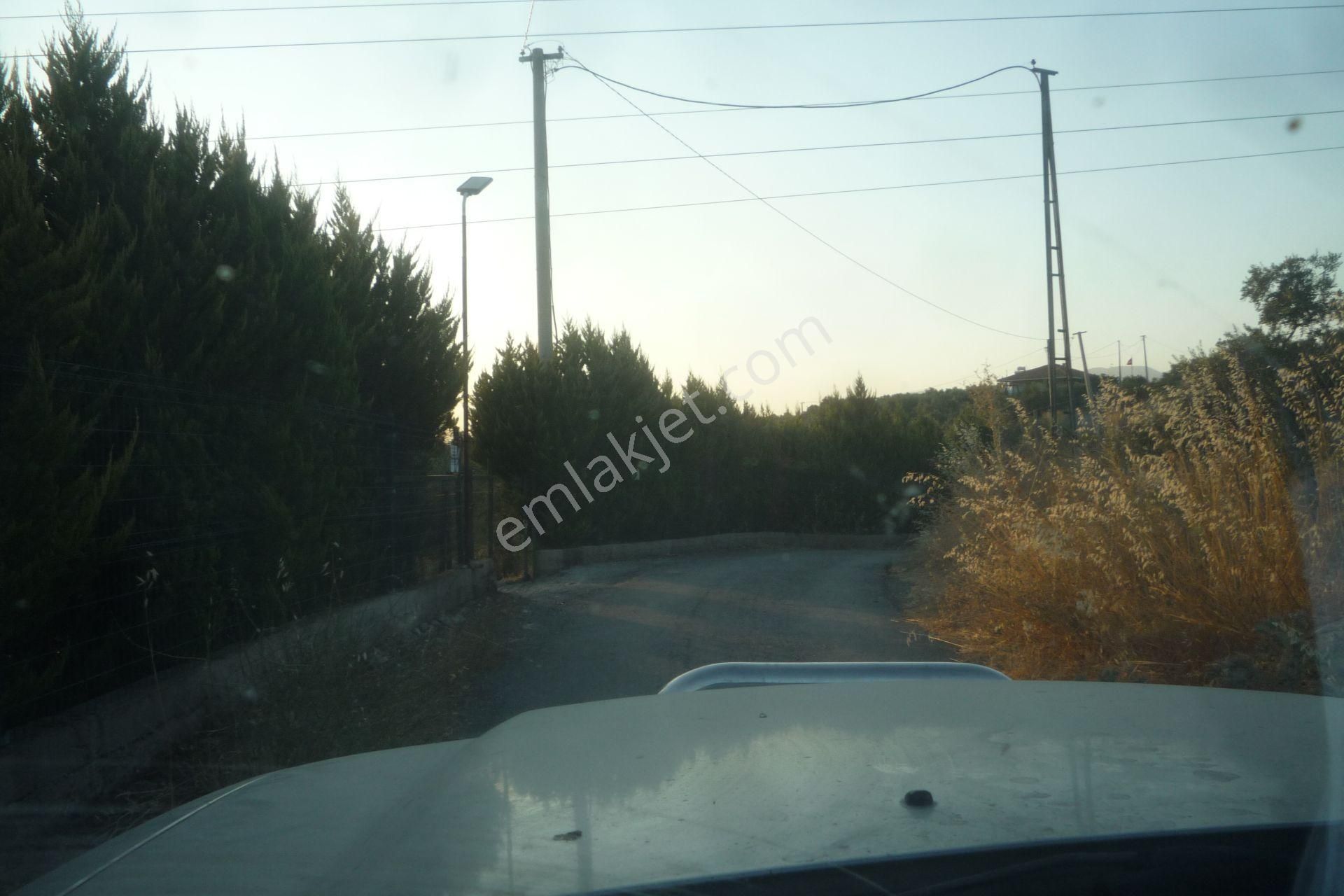 İzmir Torbalı Gold Emlaktan Satılık Harika Bakımlı Zeytinlik - Görsel 17