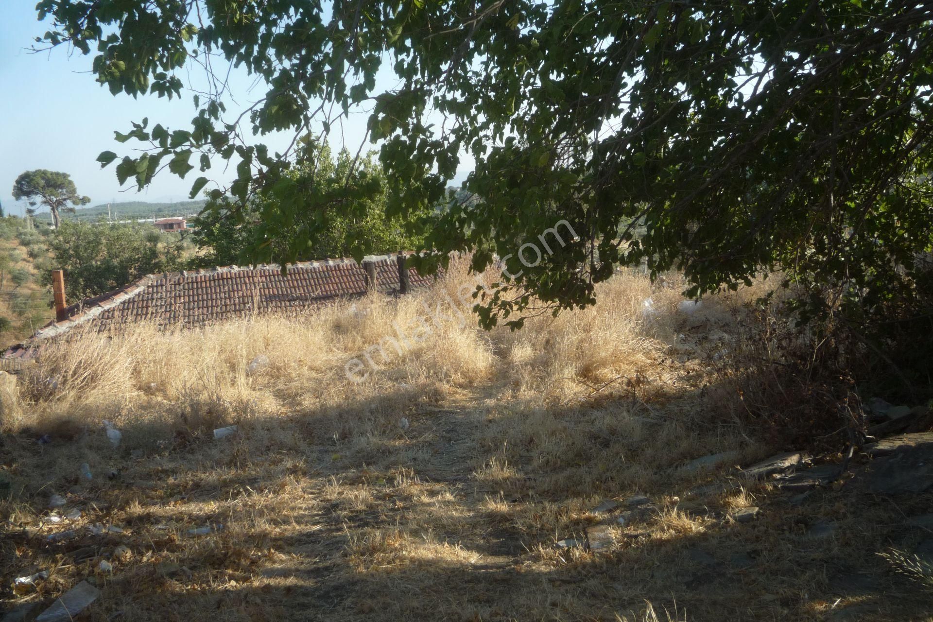 İzmir Torbalı Gold Emlaktan Satılık Bahçeli Köy Evi - Görsel 4