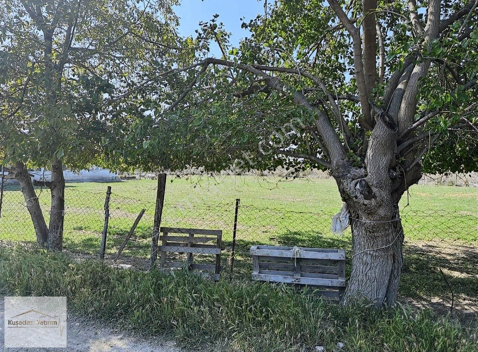 Kuşadası Güzelçamlı'da Satılık İmar Durumu Alınmış Arsa - Görsel 9