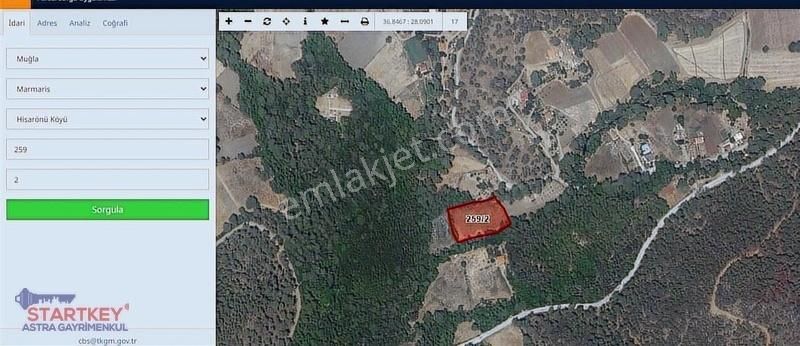 Marmaris Hisarönü Bördübet'te Doğanın Kalbinde 4339 M2 Arazi