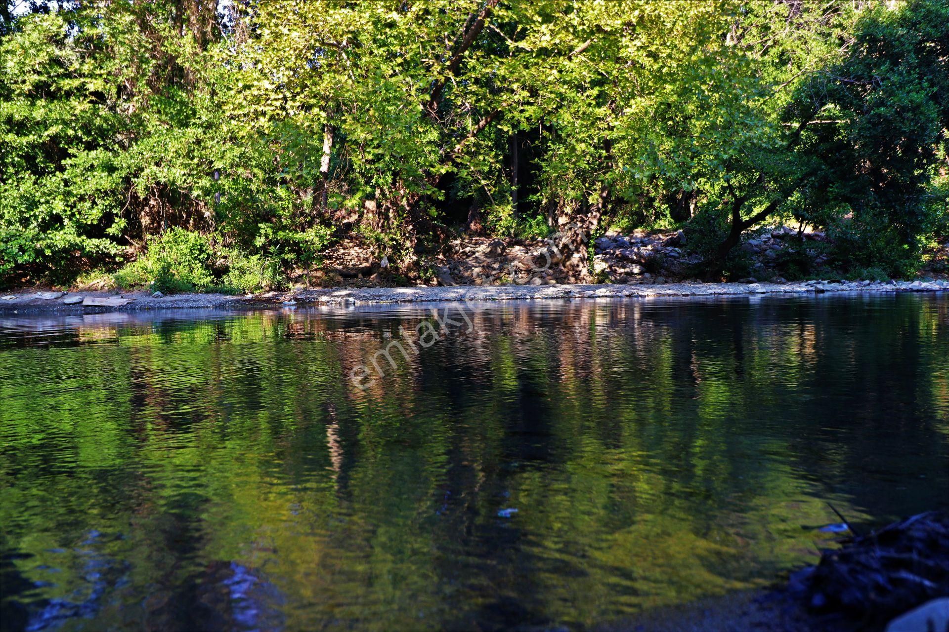 🛑🛑aktif'ten Kazdağlarının Eşsiz Doğasında Yatırımlık Devren Satılık Kamp Alanı - Görsel 6
