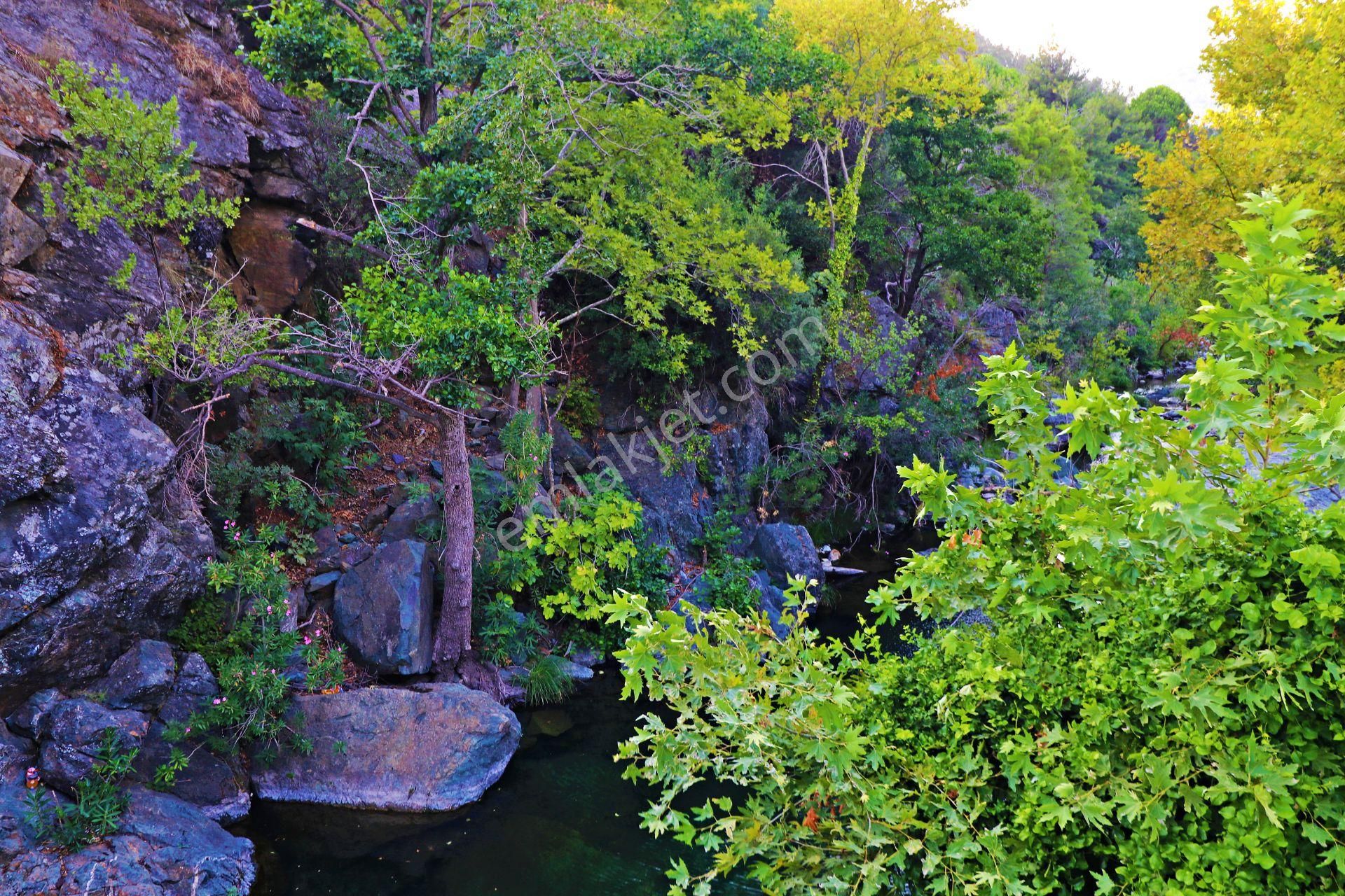 🛑🛑aktif'ten Kazdağlarının Eşsiz Doğasında Yatırımlık Devren Satılık Kamp Alanı - Görsel 14