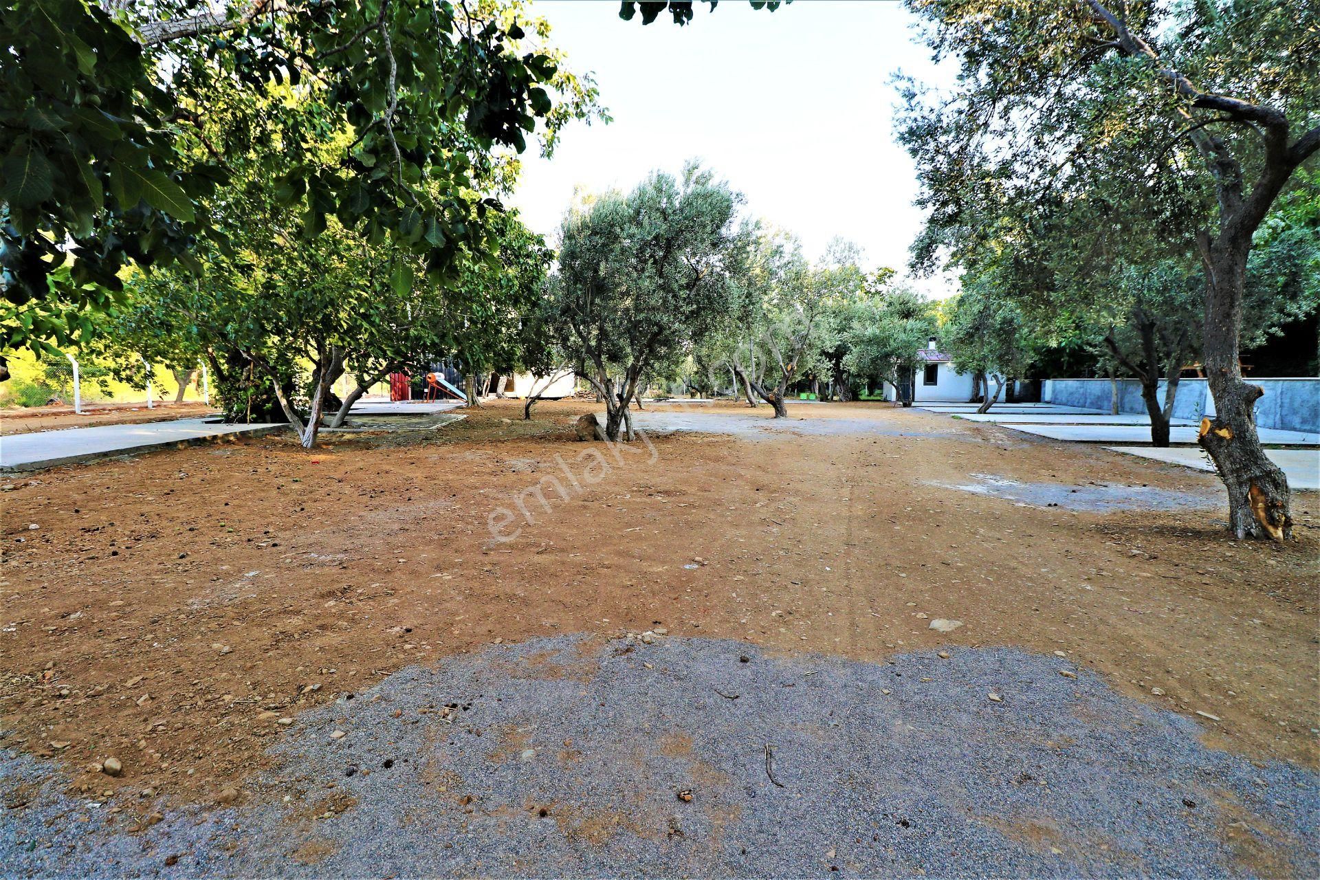 🛑🛑aktif'ten Kazdağlarının Eşsiz Doğasında Yatırımlık Devren Satılık Kamp Alanı - Görsel 16