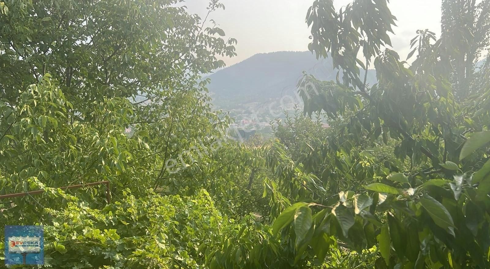 Adana Pozantı Hamidiye Yaylası Geniş Bahçeli Satılık Yayla Evi - Görsel 16