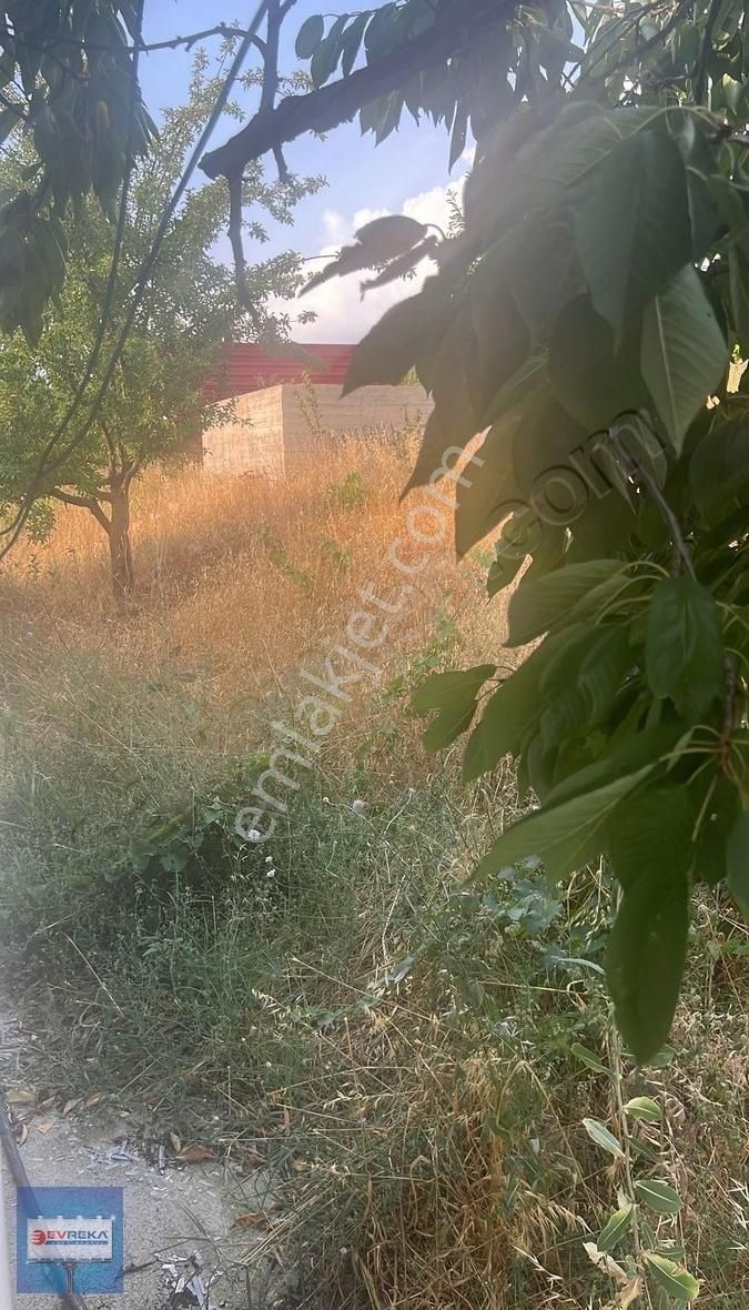 Adana Pozantı Hamidiye Yaylası Geniş Bahçeli Satılık Yayla Evi - Görsel 4