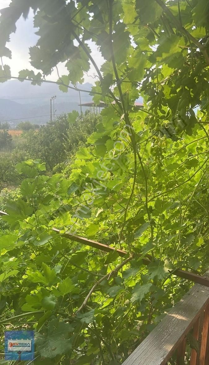 Adana Pozantı Hamidiye Yaylası Geniş Bahçeli Satılık Yayla Evi - Görsel 17