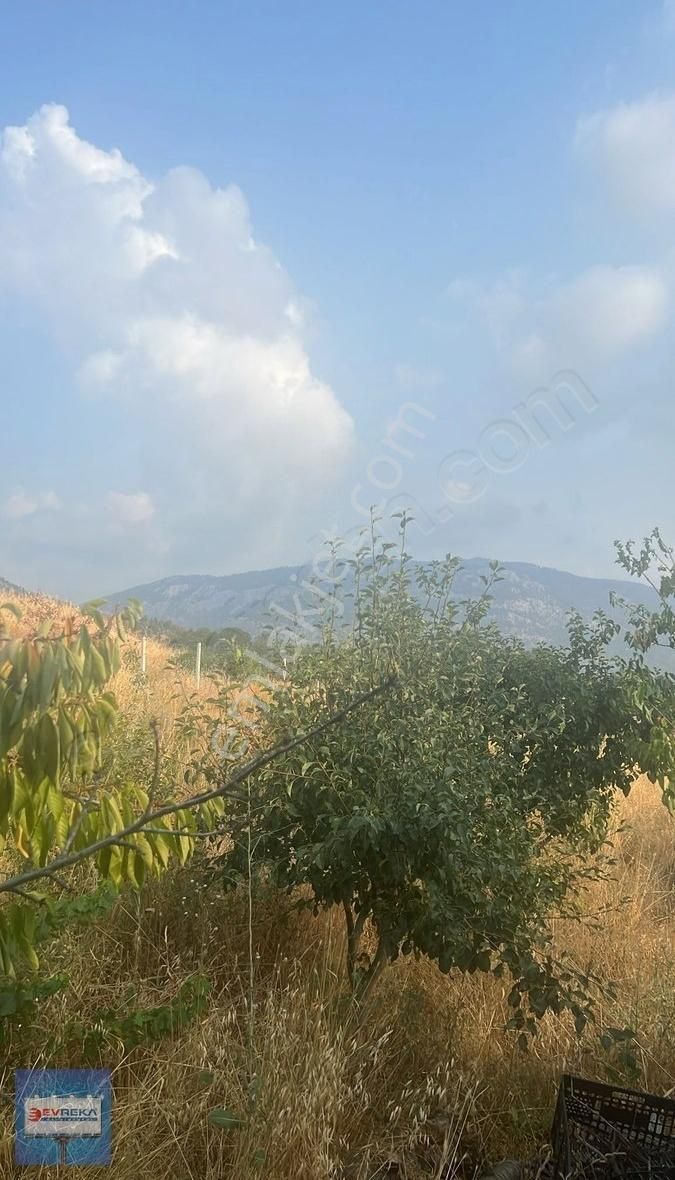 Adana Pozantı Hamidiye Yaylası Geniş Bahçeli Satılık Yayla Evi - Görsel 15