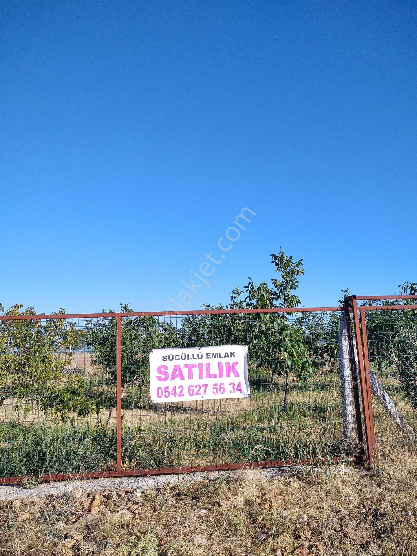 Sücüllü Emlaktan S A T I L I K. Fernor Ceviz Bahçesi Akşehir 'e 30 Km Mesafede - Görsel 2