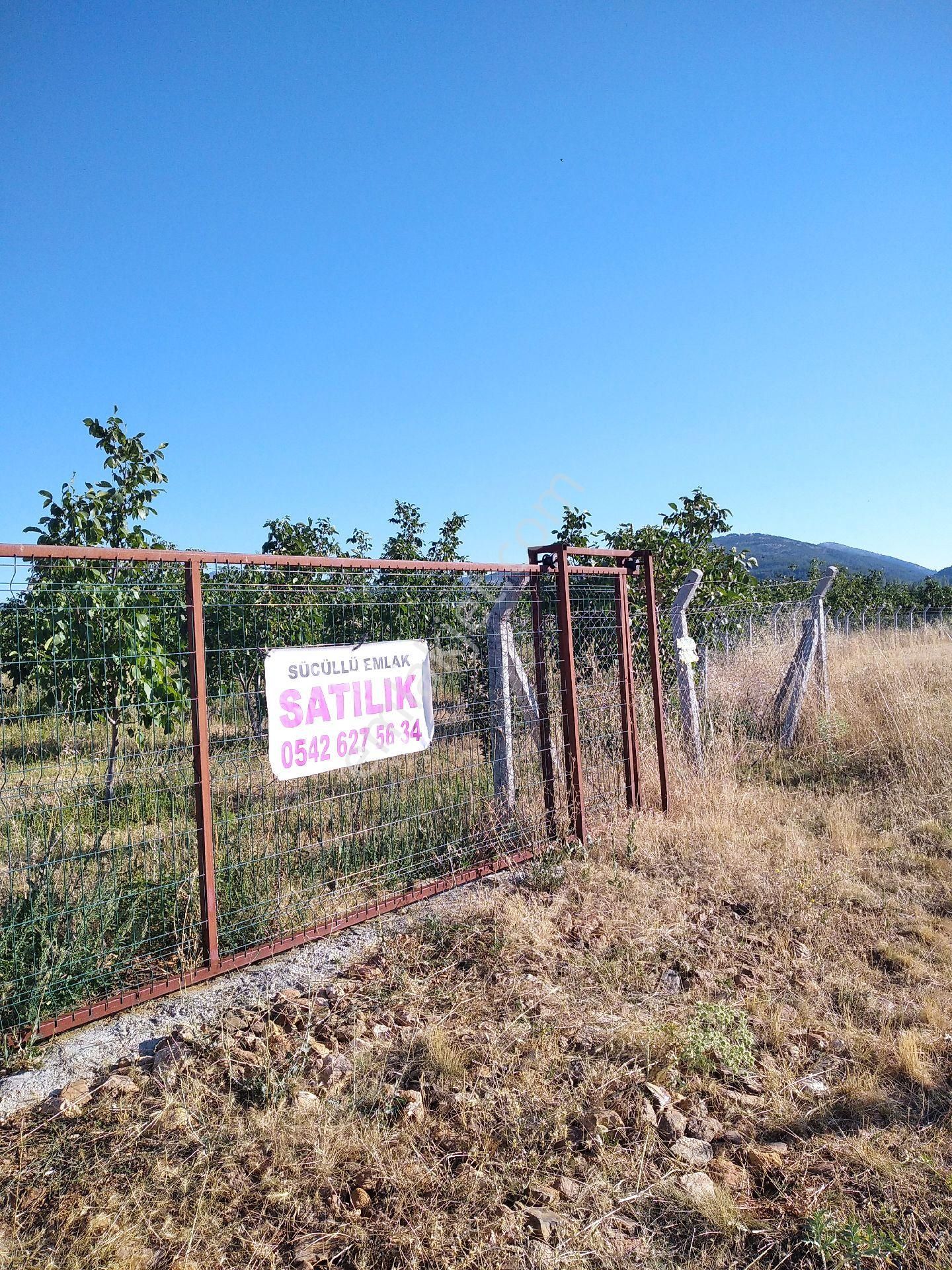 Sücüllü Emlaktan S A T I L I K. Fernor Ceviz Bahçesi Akşehir 'e 30 Km Mesafede - Görsel 6