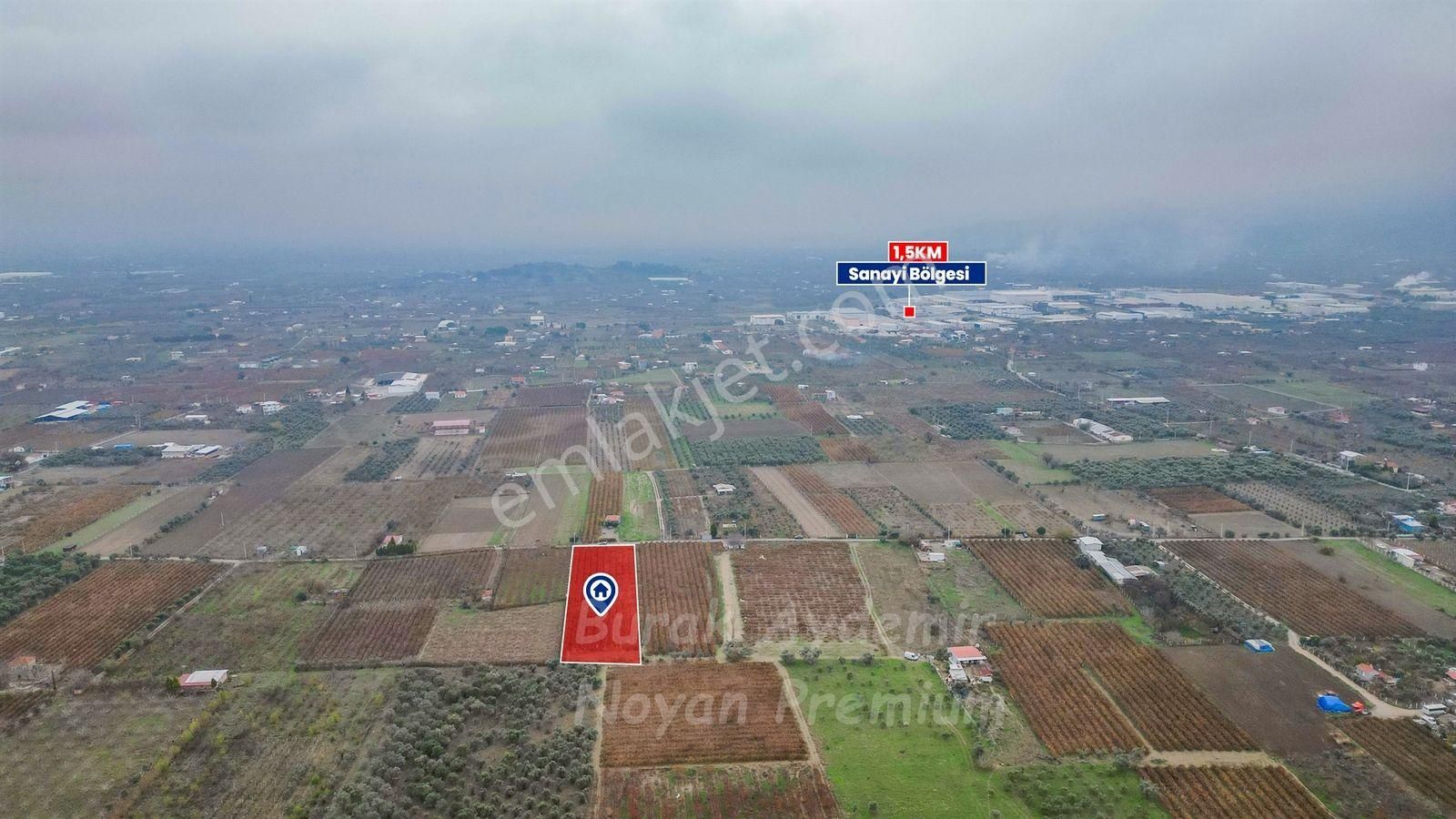 Kemalpaşa 85. Yıl Cumhuriyet Mah. 4336 M2 Satılık Bağ - Görsel 5