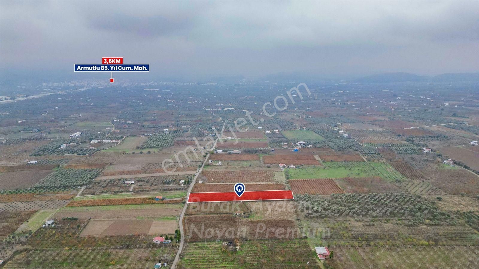 Kemalpaşa 85. Yıl Cumhuriyet Mah. 4336 M2 Satılık Bağ - Görsel 15