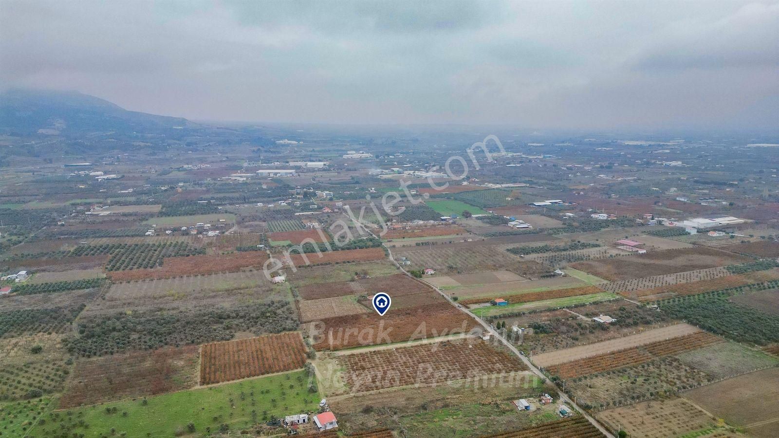 Kemalpaşa 85. Yıl Cumhuriyet Mah. 4336 M2 Satılık Bağ - Görsel 12