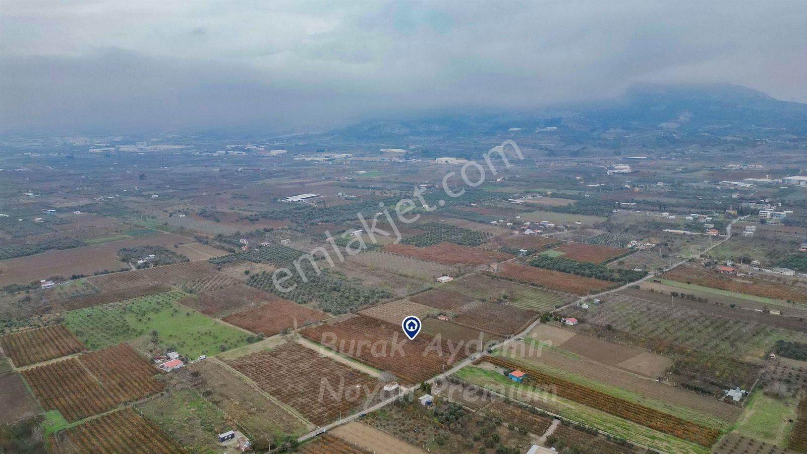 Kemalpaşa 85. Yıl Cumhuriyet Mah. 4336 M2 Satılık Bağ - Görsel 9