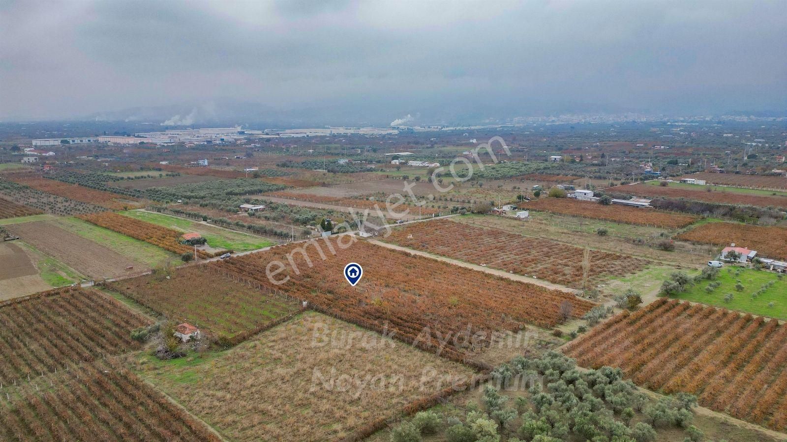 Kemalpaşa 85. Yıl Cumhuriyet Mah. 4336 M2 Satılık Bağ - Görsel 17