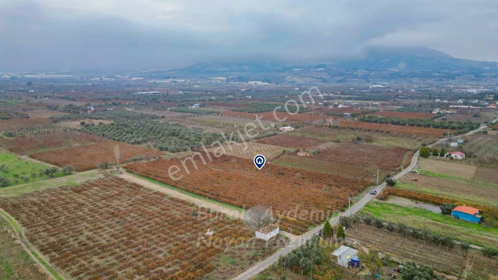 Kemalpaşa 85. Yıl Cumhuriyet Mah. 4336 M2 Satılık Bağ - Görsel 19