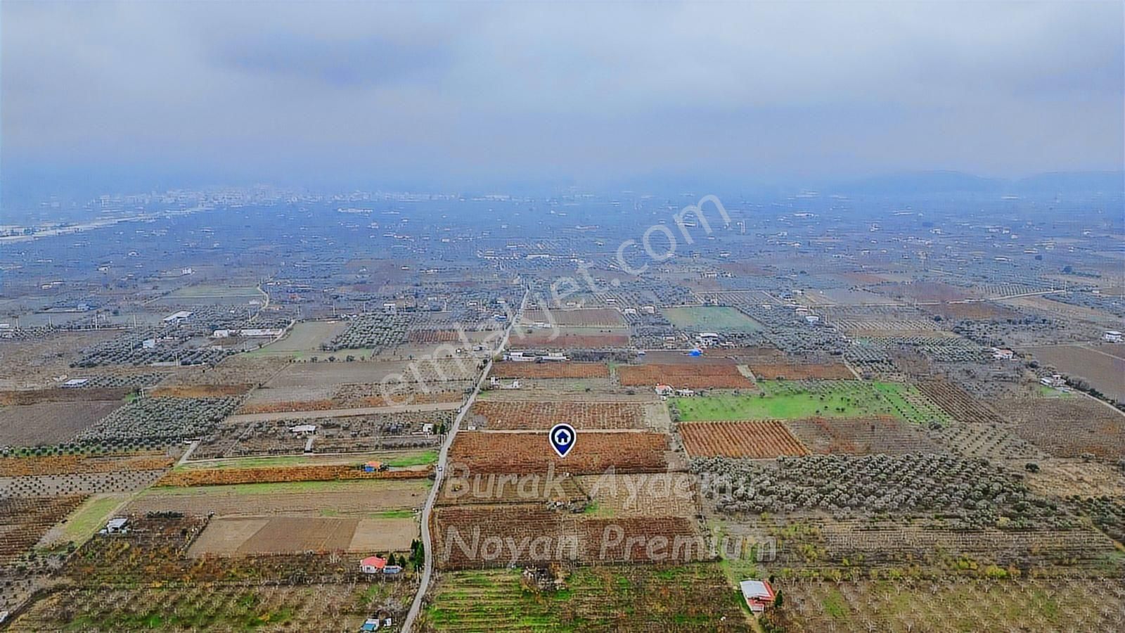 Kemalpaşa 85. Yıl Cumhuriyet Mah. 4336 M2 Satılık Bağ - Görsel 3