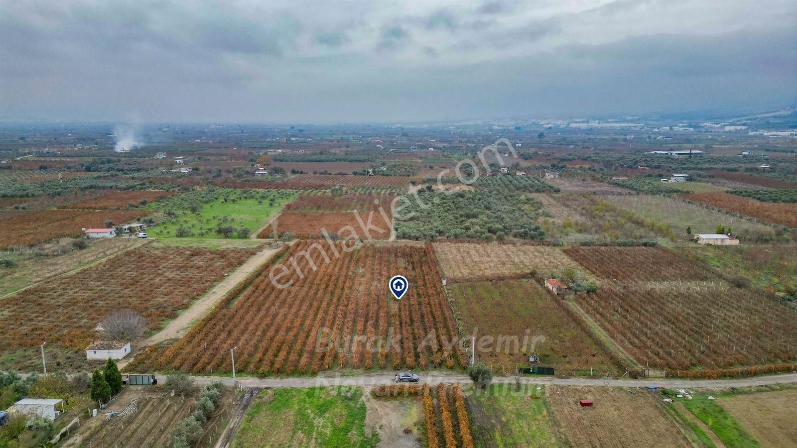 Kemalpaşa 85. Yıl Cumhuriyet Mah. 4336 M2 Satılık Bağ - Görsel 23
