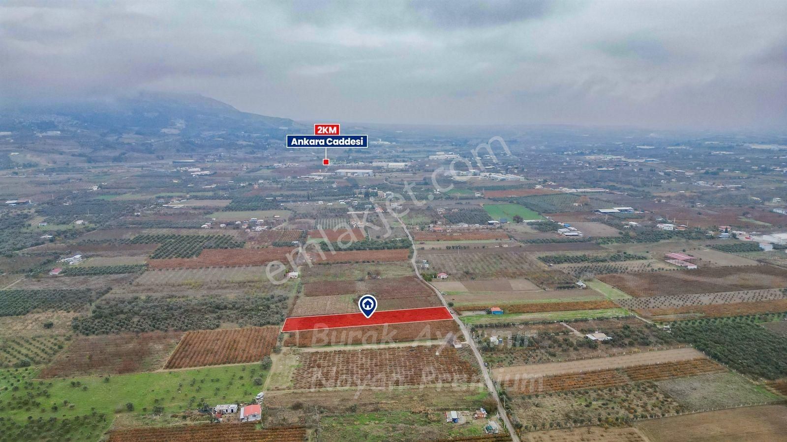 Kemalpaşa 85. Yıl Cumhuriyet Mah. 4336 M2 Satılık Bağ - Görsel 4