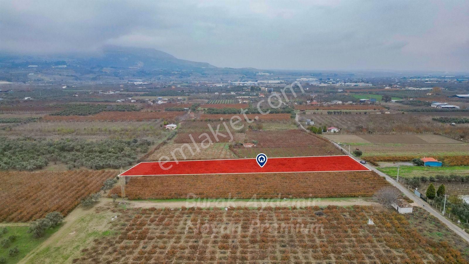 Kemalpaşa 85. Yıl Cumhuriyet Mah. 4336 M2 Satılık Bağ - Görsel 18