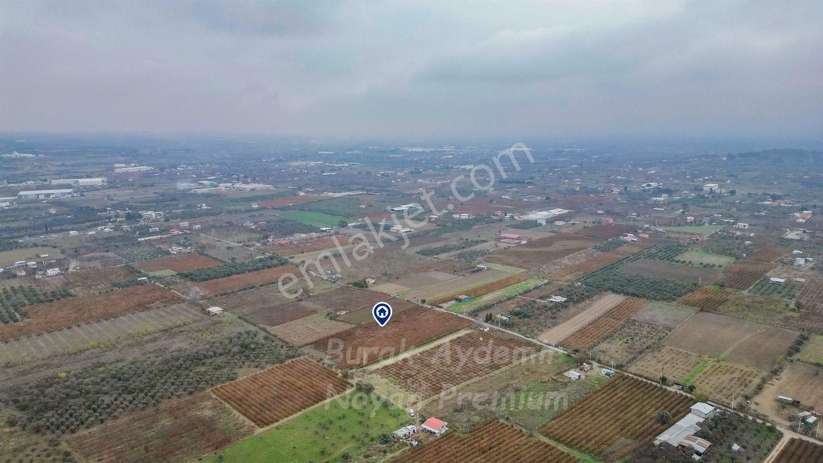 Kemalpaşa 85. Yıl Cumhuriyet Mah. 4336 M2 Satılık Bağ - Görsel 8