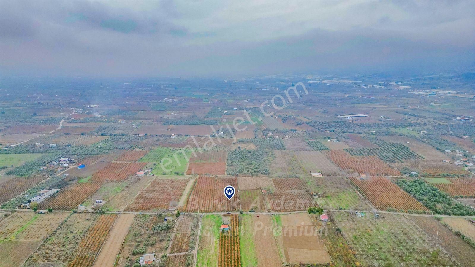 Kemalpaşa 85. Yıl Cumhuriyet Mah. 4336 M2 Satılık Bağ - Görsel 24