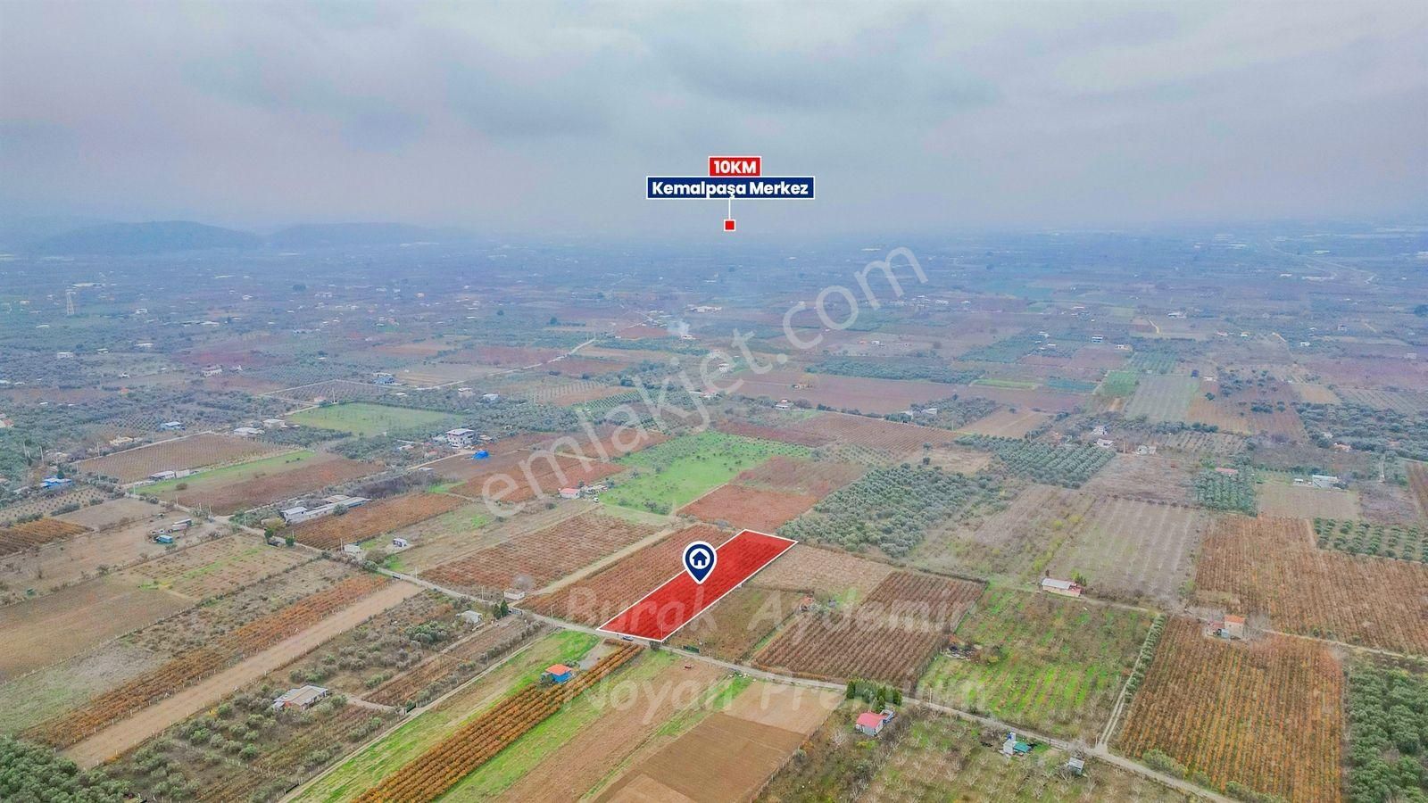 Kemalpaşa 85. Yıl Cumhuriyet Mah. 4336 M2 Satılık Bağ - Görsel 16