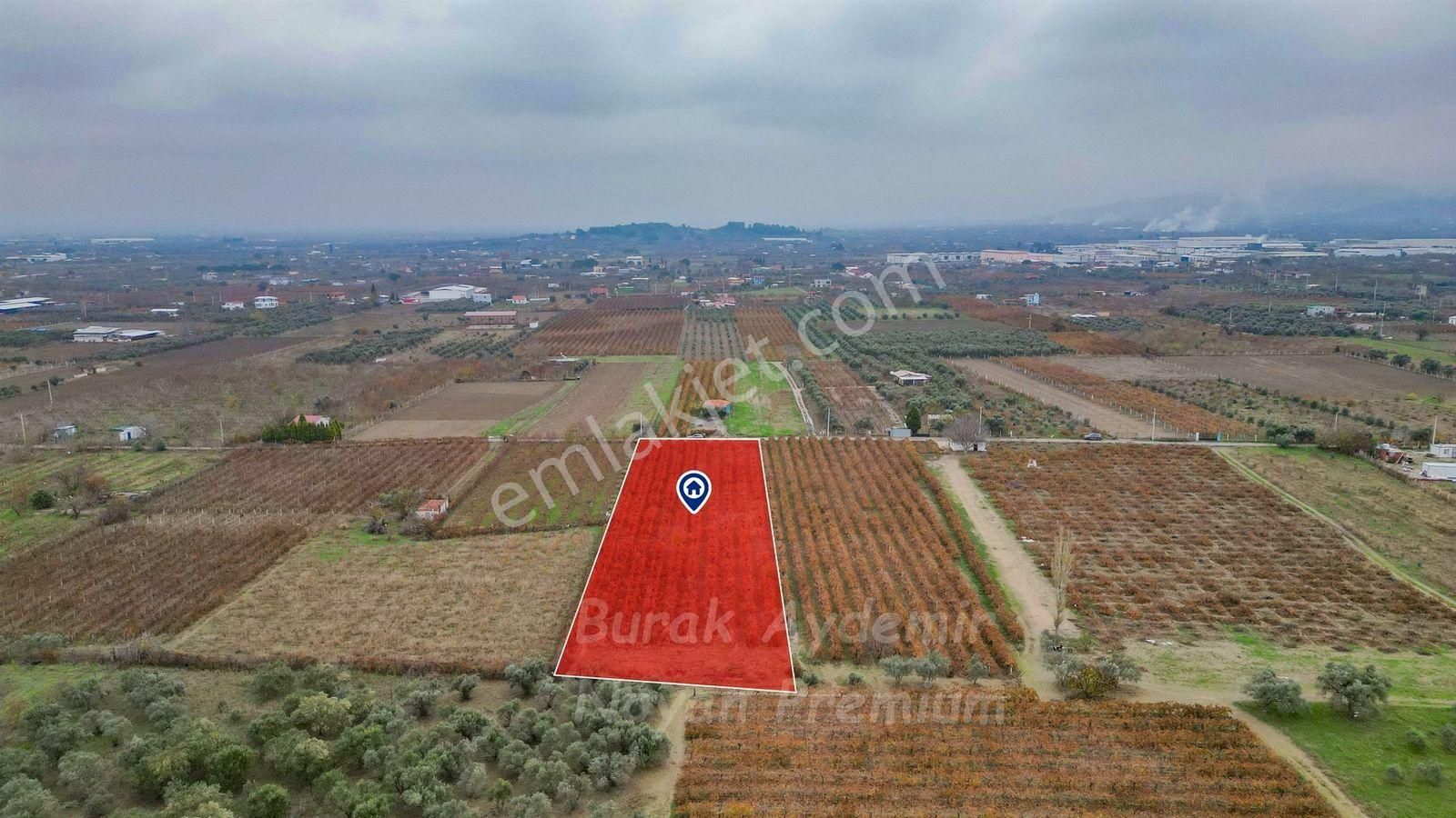 Kemalpaşa 85. Yıl Cumhuriyet Mah. 4336 M2 Satılık Bağ - Görsel 10