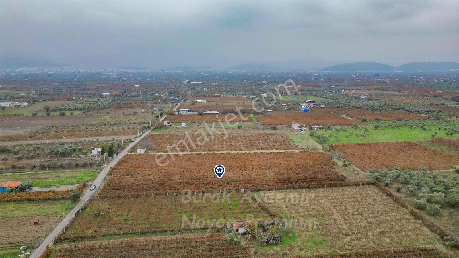 Kemalpaşa 85. Yıl Cumhuriyet Mah. 4336 M2 Satılık Bağ - Görsel 14