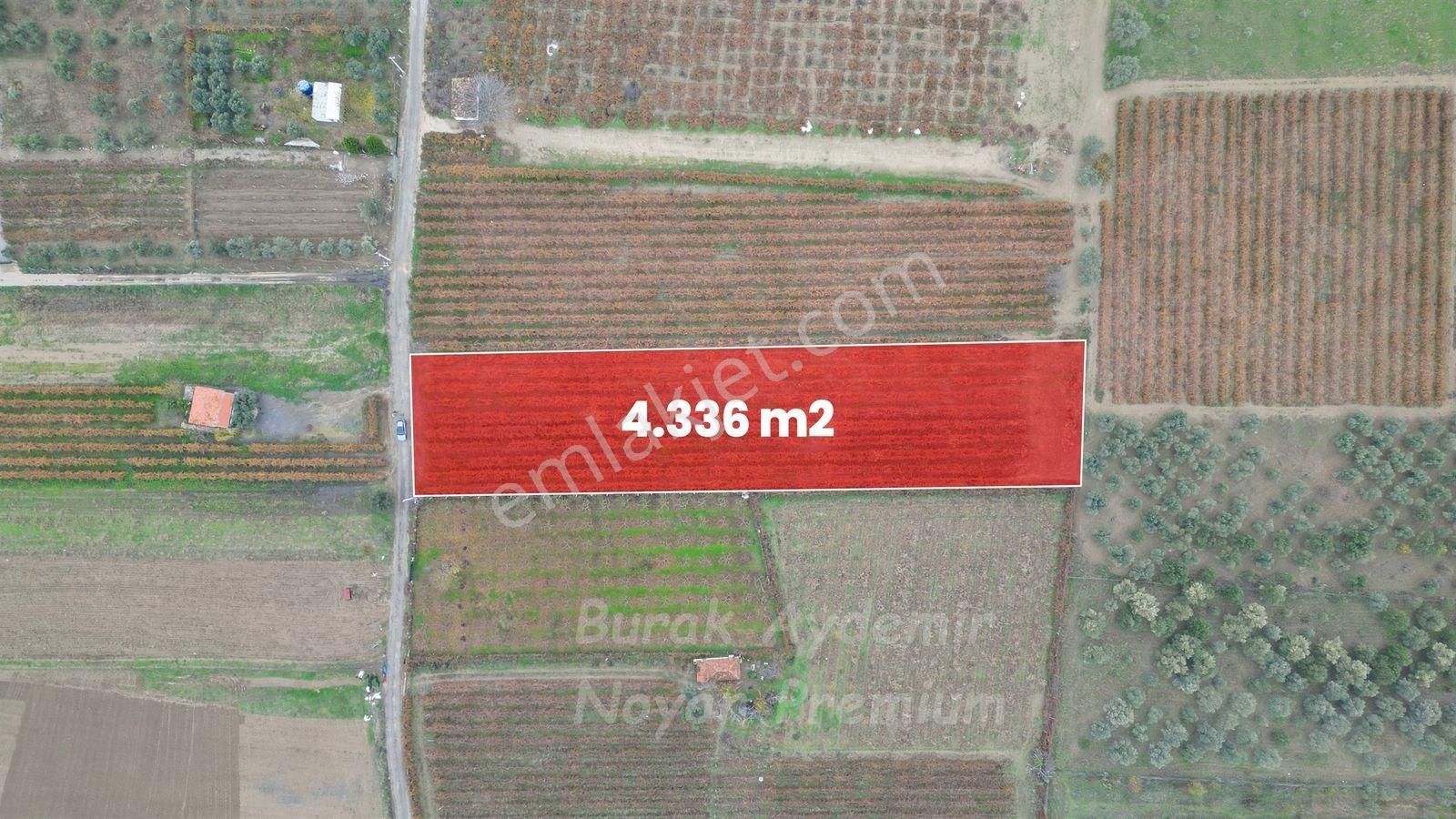Kemalpaşa 85. Yıl Cumhuriyet Mah. 4336 M2 Satılık Bağ - Görsel 13