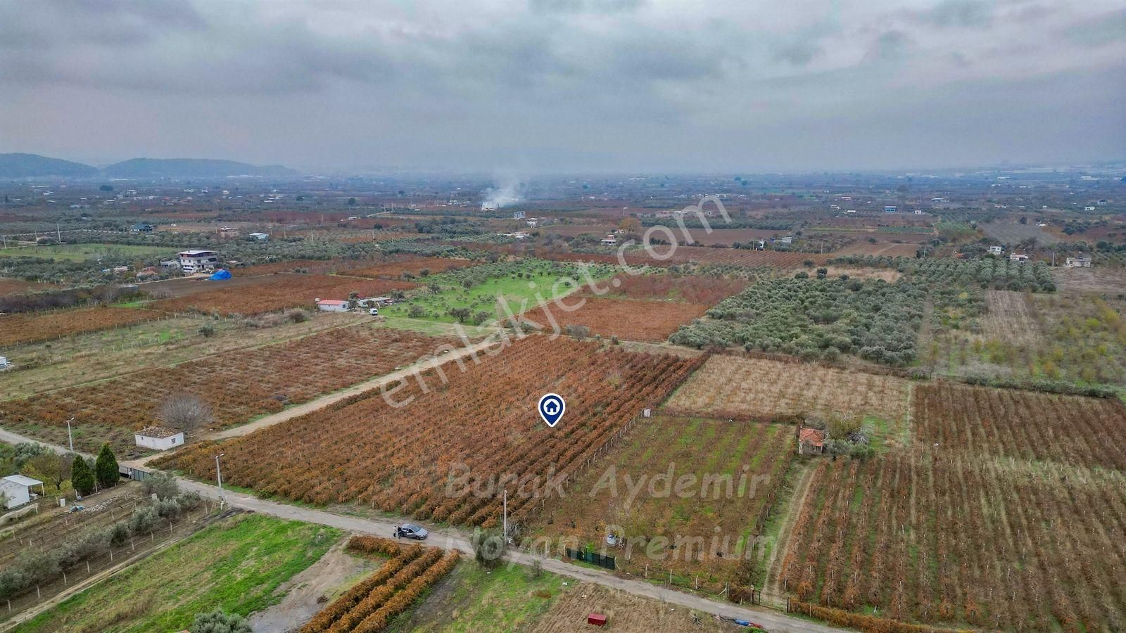Kemalpaşa 85. Yıl Cumhuriyet Mah. 4336 M2 Satılık Bağ - Görsel 22
