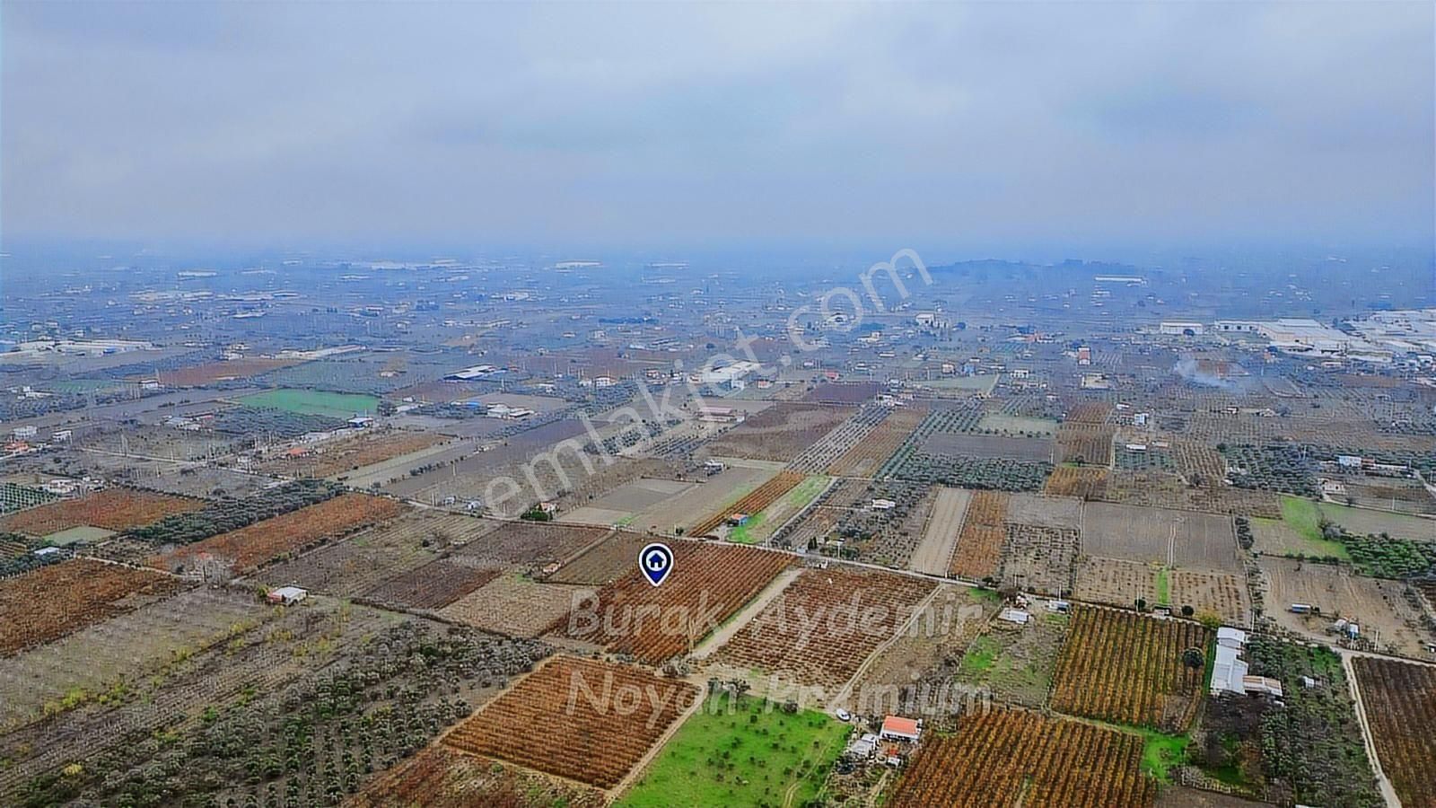 Kemalpaşa 85. Yıl Cumhuriyet Mah. 4336 M2 Satılık Bağ - Görsel 20